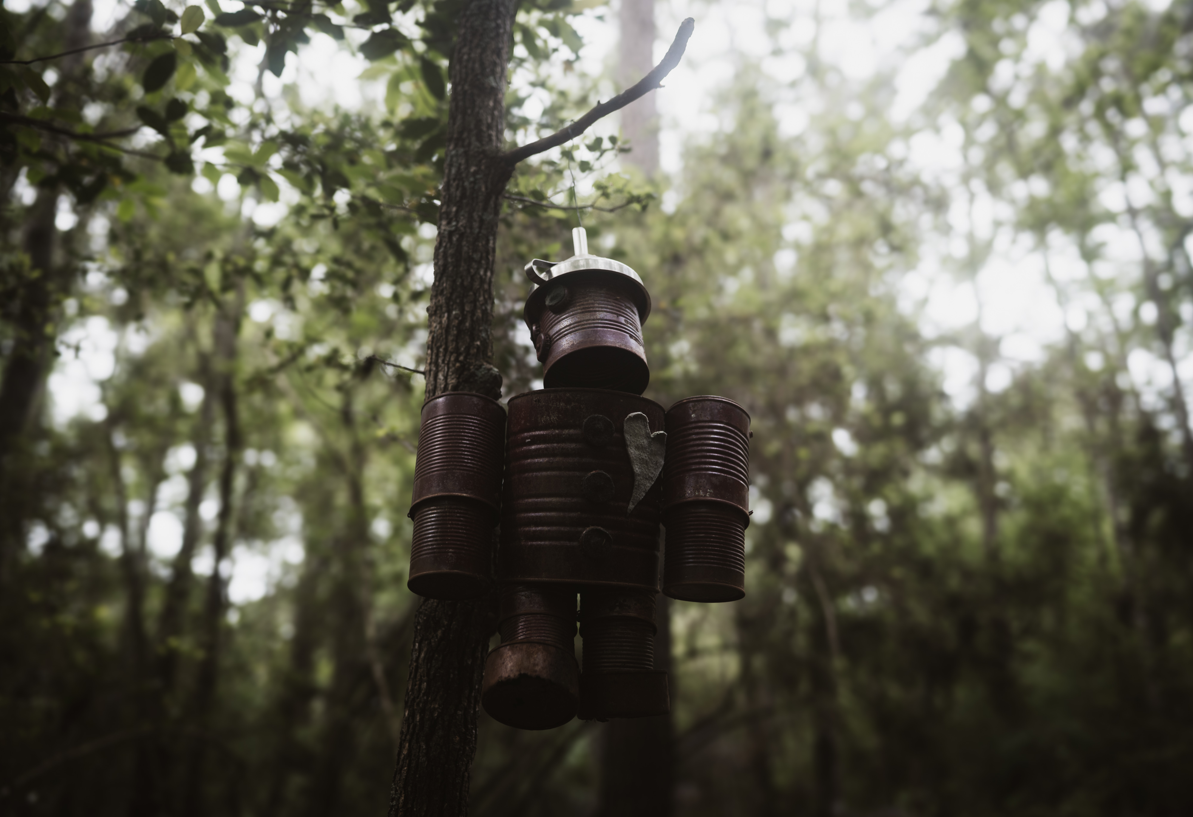 TinMan: Nikon 28mm 1.4E