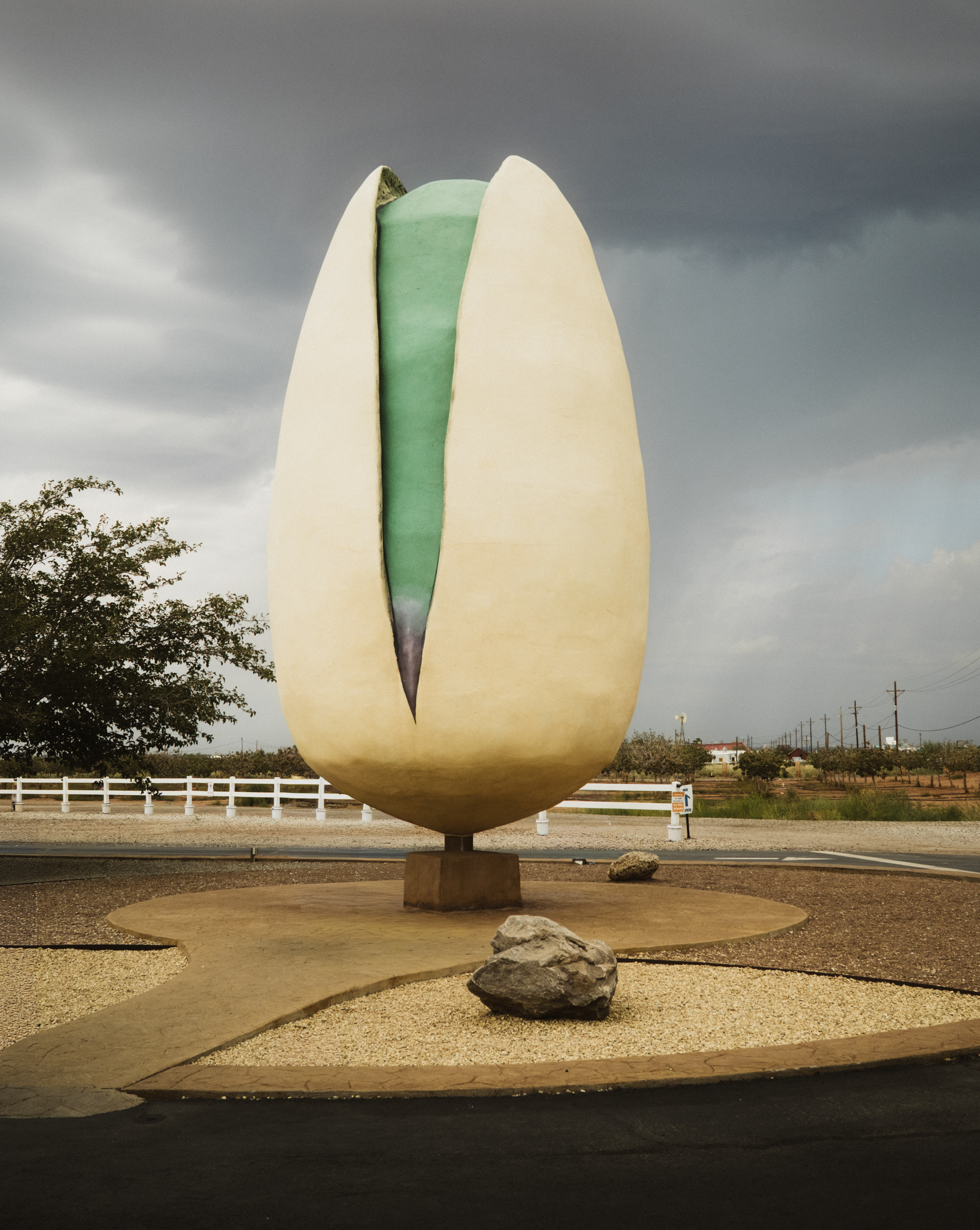 World's Largest Pistachio. Worlds Largest Pistachio